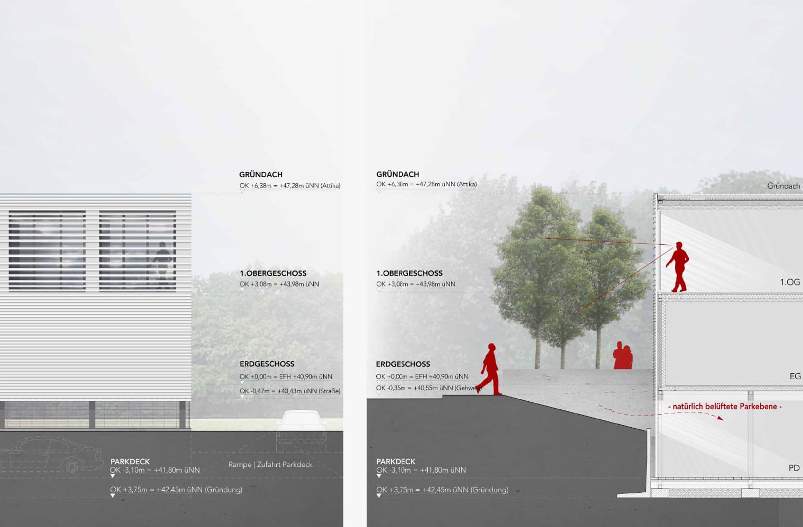 Schnittansicht des Nachwuchsleistungszentrums F95 mit Parkdeck, Erdgeschoss und Gründach