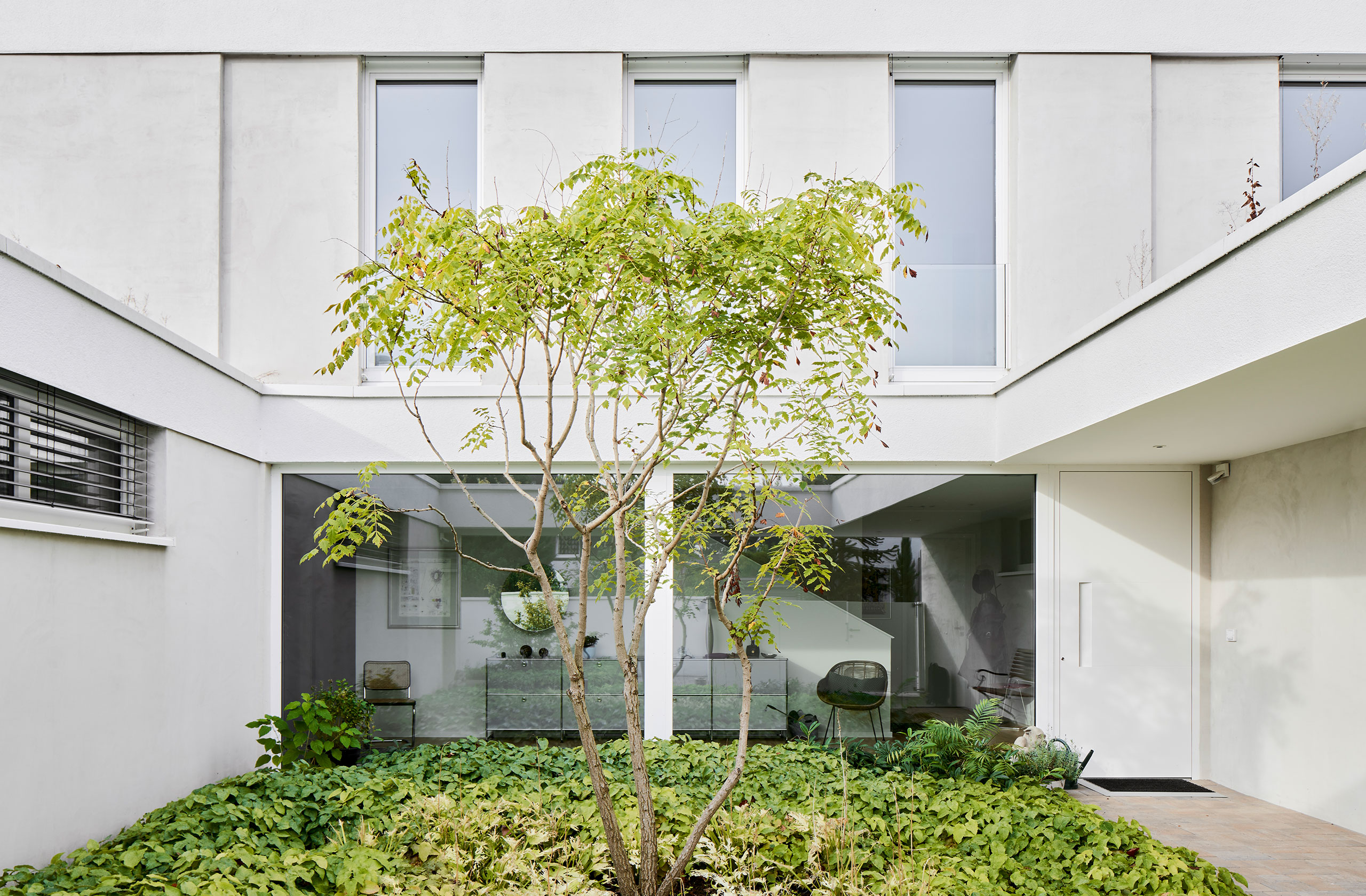 Blick in den begrünten Patio mit zentralem Baum und Glasfassade