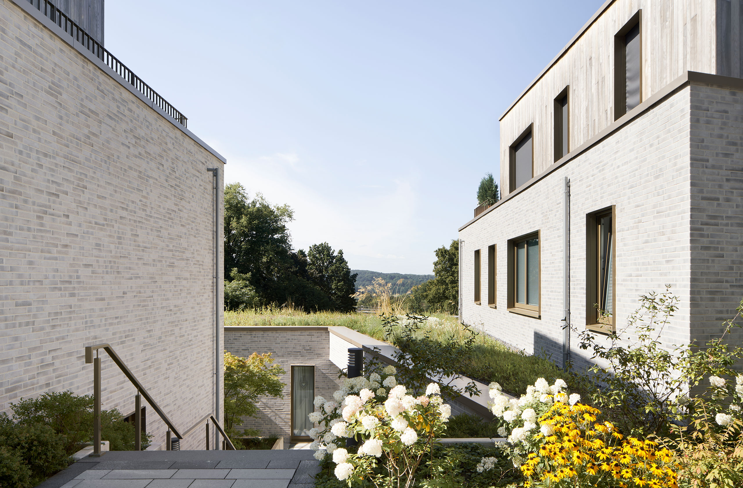 Gartenebene mit Zugang zu den Wohneinheiten und Begrünung